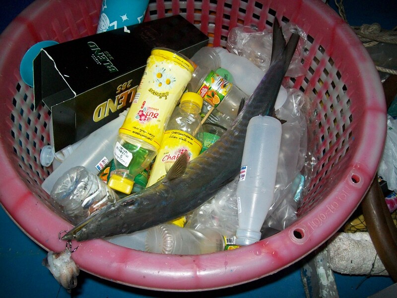 ใครเอามาทิ้งในถังขยะอีกตัว  :laughing: :grin: