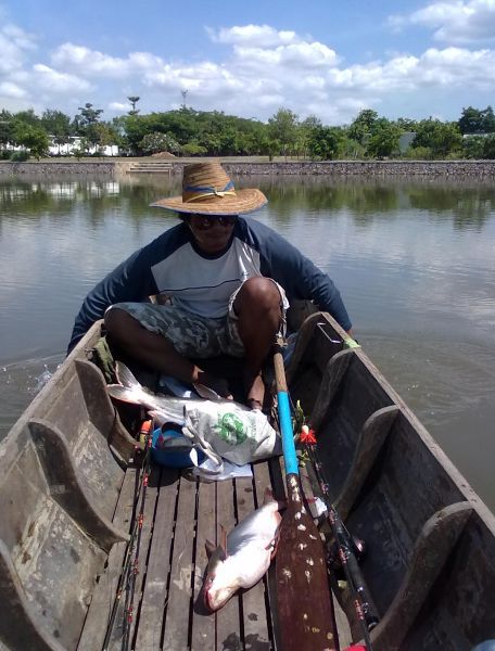 ออกมาลอยเรือดูหมายใหม่ก็ พอดีมีเสียงโทรศัพมาให้จำเป็นต้องรีบกลับ
เสียดายมากครับ ปลากินเหยื่อง่ายด้ว