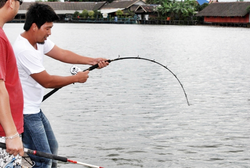 ยอมได้ไง พลพรรคงูเขียวหางไหม้
 :grin: :grin: :grin: