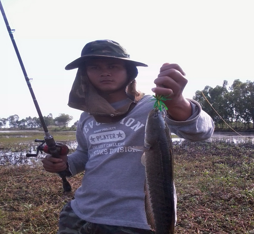 [q][i]อ้างถึง: fishingjoke posted: 22-09-2554, 12:30:20[/i]

+++++++ครับ :cheer: :cheer: :cheer: :