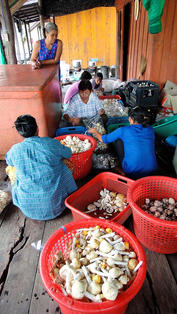 ที่แพ เป็นแพรับซื้อของด้วย ชาวบ้านแถวนั้น หาเห็ด มาส่งขาย    สอบถามว่า ชื่อเห็น "ระโงก"  ก็เลย ลอง