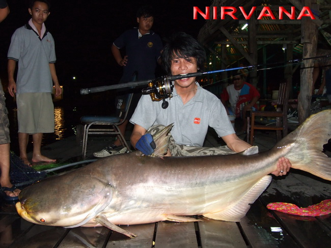 [q][i]อ้างถึง: NIRVANA1405 posted: 22-09-2554, 18:21:46[/i]

ถ้าน้าท่านใหนงัดเจ้าตัวขนาดนี้ขึ้นมาไ