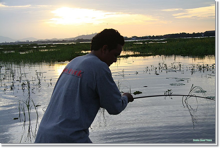                                                                                       [b]น้าหมีลงเรื