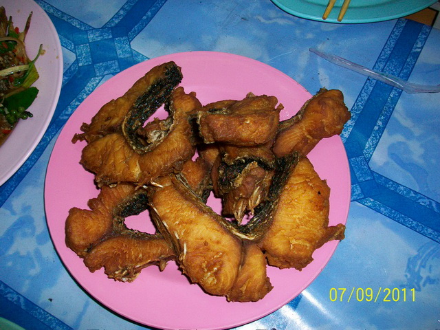 เนื้อโดทอด ก็ยิ่ง อาหย่อยยยยยยยย  :umh: :umh: :umh: