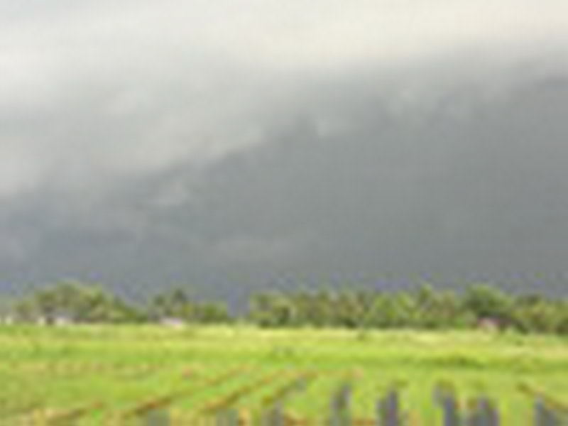สักพักฝนมามืดครับ รีบเพ่นครับ  :laughing: :laughing: