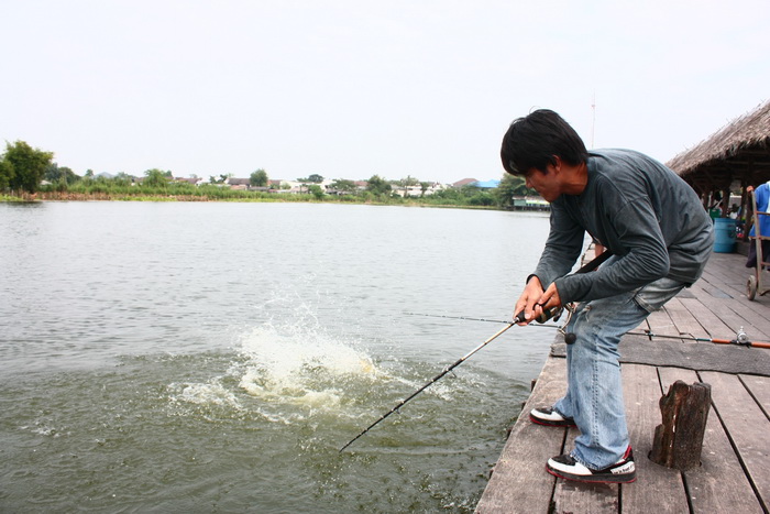 ทีเด็ดออก  เดวแนะนำให้รุจัก  ตามดยังชอบเลย
 :laughing: :laughing: :laughing: :laughing: