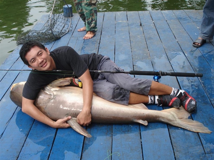 ชอบอะครับ รูปนี้ 555555+ :laughing: