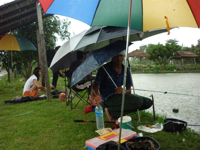 จนฝนกระหน่ำอย่างหนัก     

                                         ไอ่ผมก็งัดกันอยู่เยี่ยงนั้นไปซ