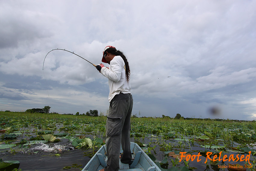 
รวดเดียวถึงข้างเรือ