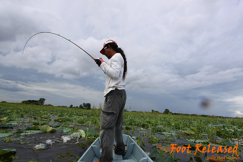 
ค่อยมาเล่นข้างเรือ