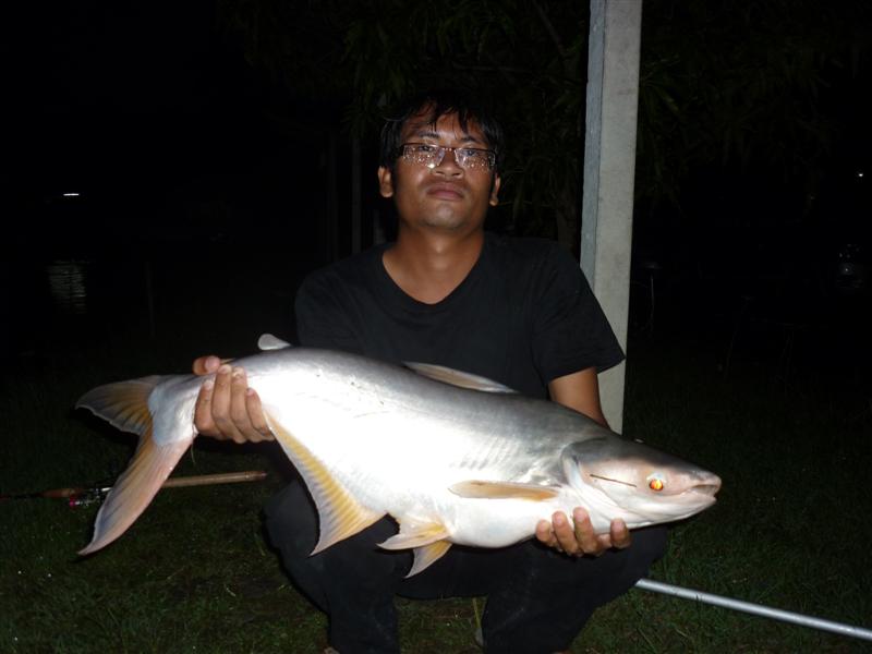 จึงเป็นตัวปิดทริพในวันอันแสนจะวุ่นวาย นี้