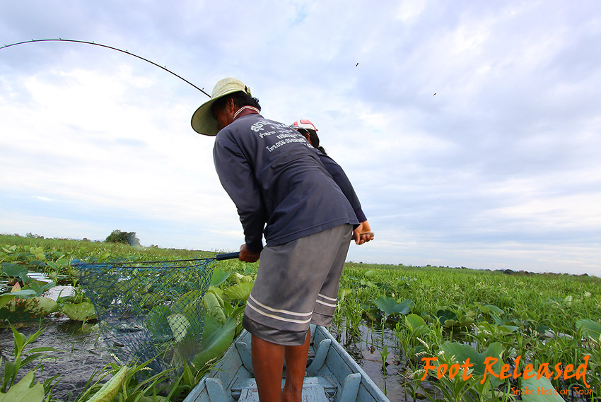 
มาแล้วพี่ชายจอมพริ้ว กล้องขวางเต็มเรือ ยังโดดข้ามมาได้ :grin: :grin: :grin: