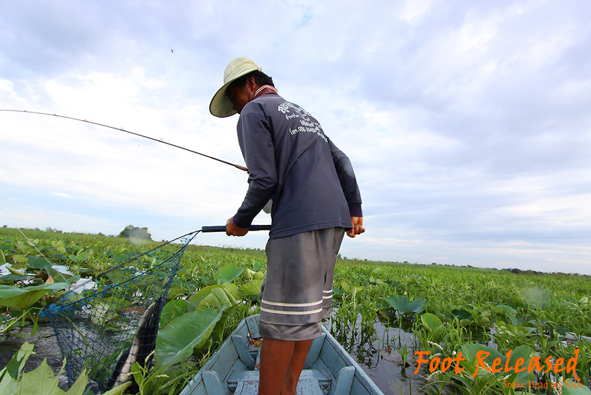 
เรียบร้อย