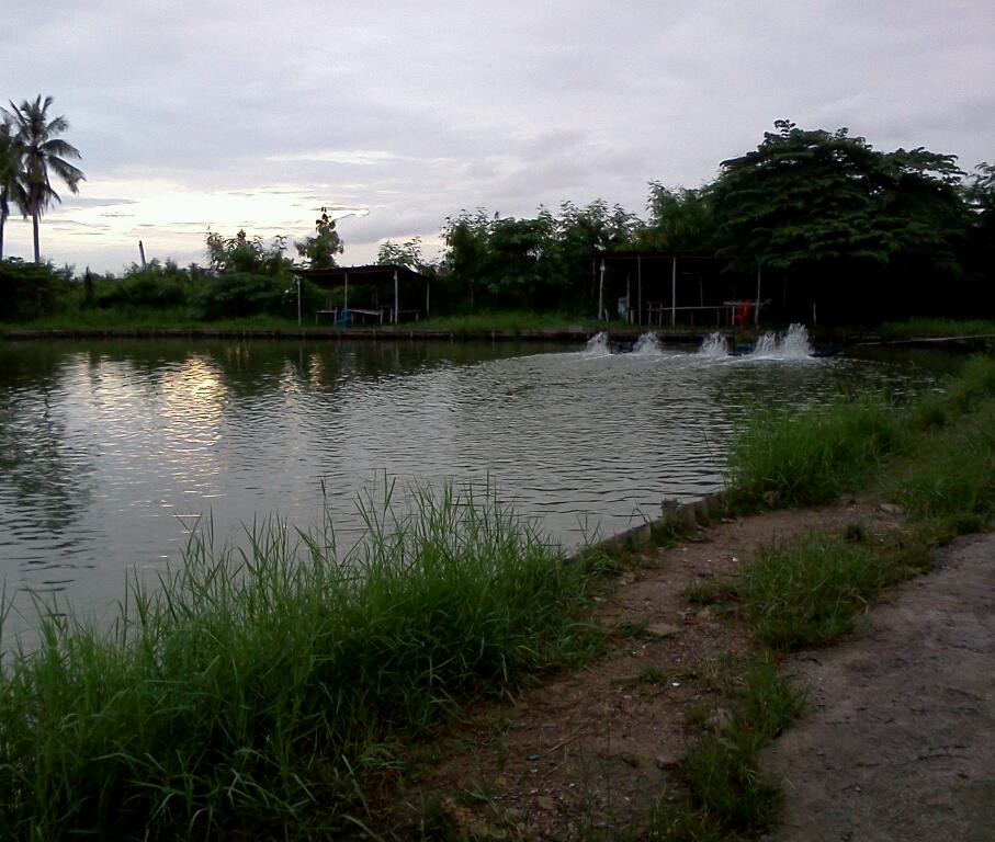 ตะลุยกระพงขัง