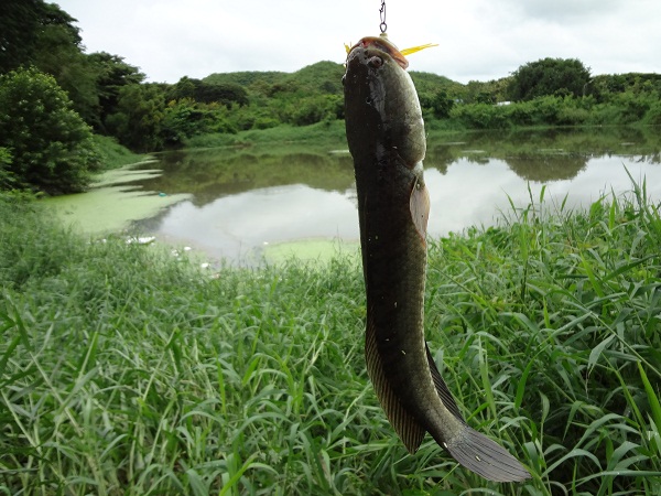 ยังไม่ทันถูสบู่ เสียง จุ๋บ! อีกแล้ว



 :laughing: :laughing: :laughing: :laughing: :laughing: :