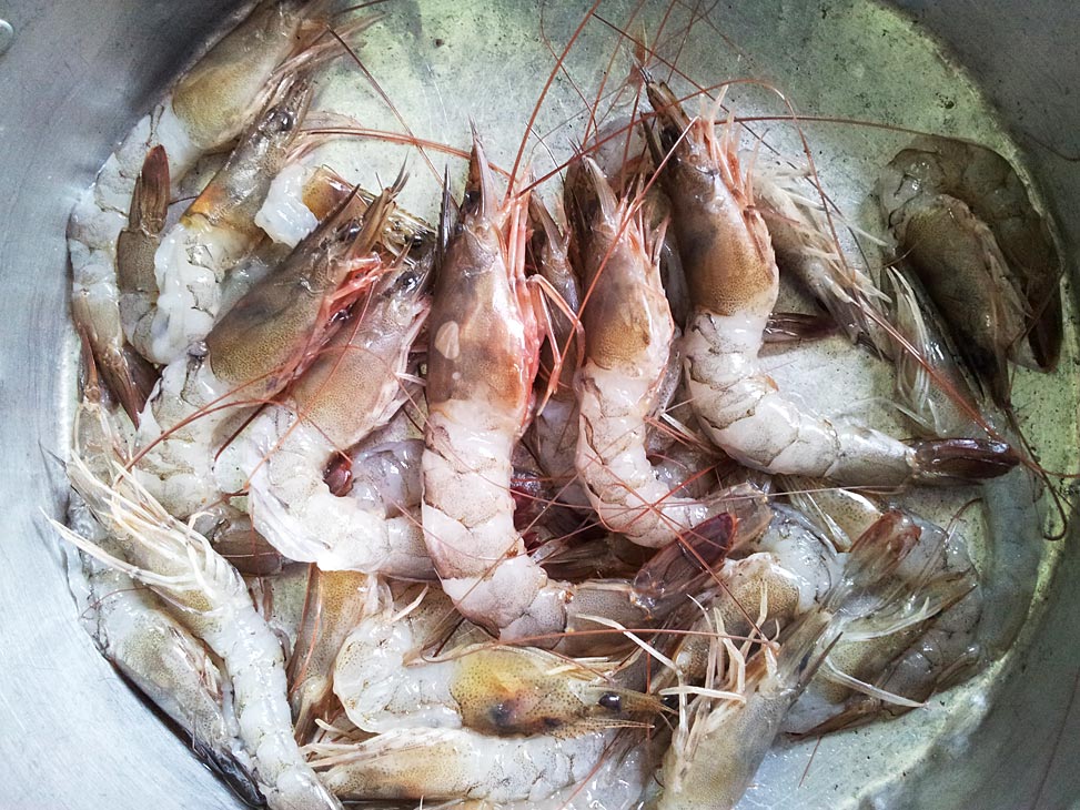 กุ้งทำความสะอาด ปลอกเปือกผ่าหลังเรียบร้อย พร้อมลุย :umh: