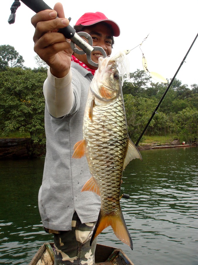 ไซด์สวยครับ....ตัวแรกที่ออกสื่อ....ของน้าโต้งเหมือนกันครับ...ของปีนี้  :cheer: :cheer: