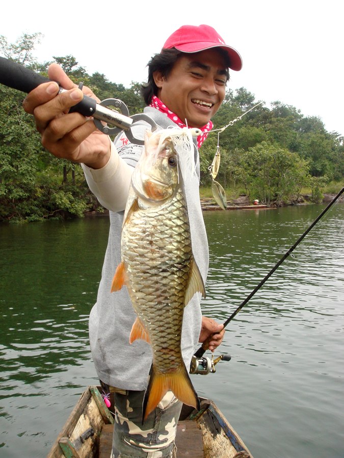 ปีนี้น้าโต้งบ่นว่า....คลาดแคล้วกันมาหลายหนแล้ว..... :grin: