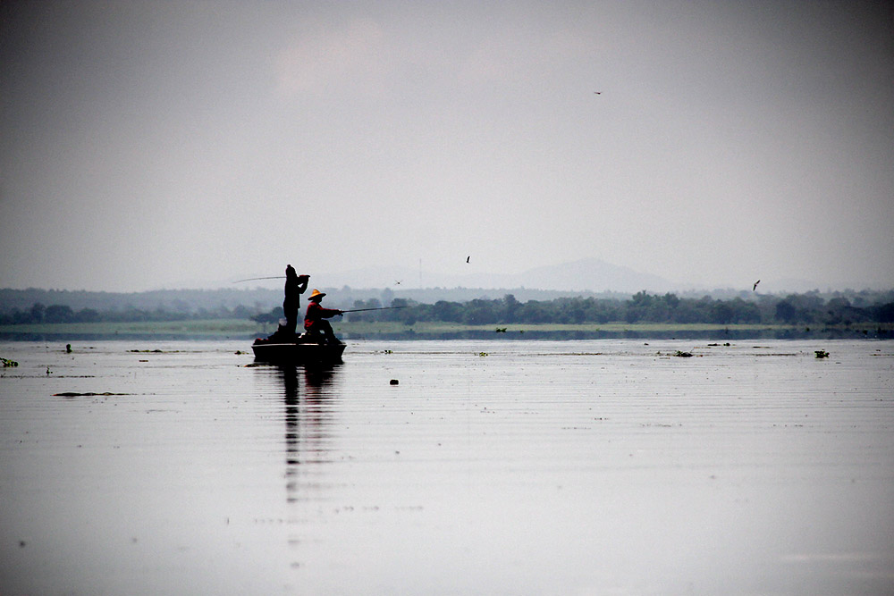 ปลาอยู่ที่เรือน้าหม่ำนั่นเองครับ
เห็นฝูงนกบินโฉบจิกลูกปลาเป็นว่าเล่น