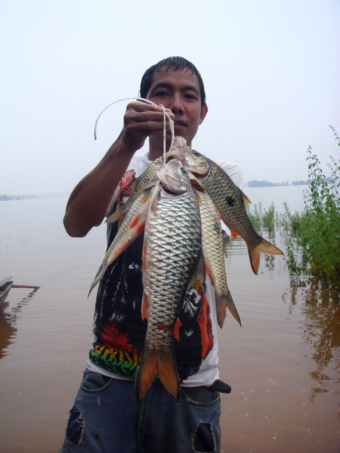 เอาๆๆๆ  รวมปลา...รอเรือครูโอและน้าต้า  จัดปลารวมกันหน่อย.... :grin:
