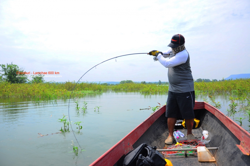 <<<<<  ชลบุรี - ลำแชะ   600 km >>>>>