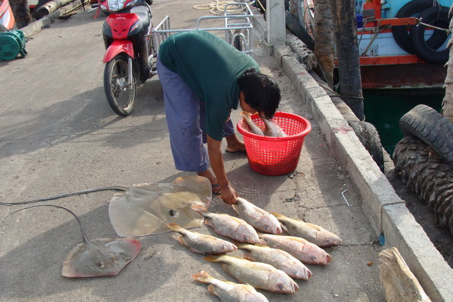 ช่วยตกปลายังไม่พอ ยังช่วยขนปลามาให้อีก แจ่มจริงๆเลยไต๋คนนี้  :love: :love: