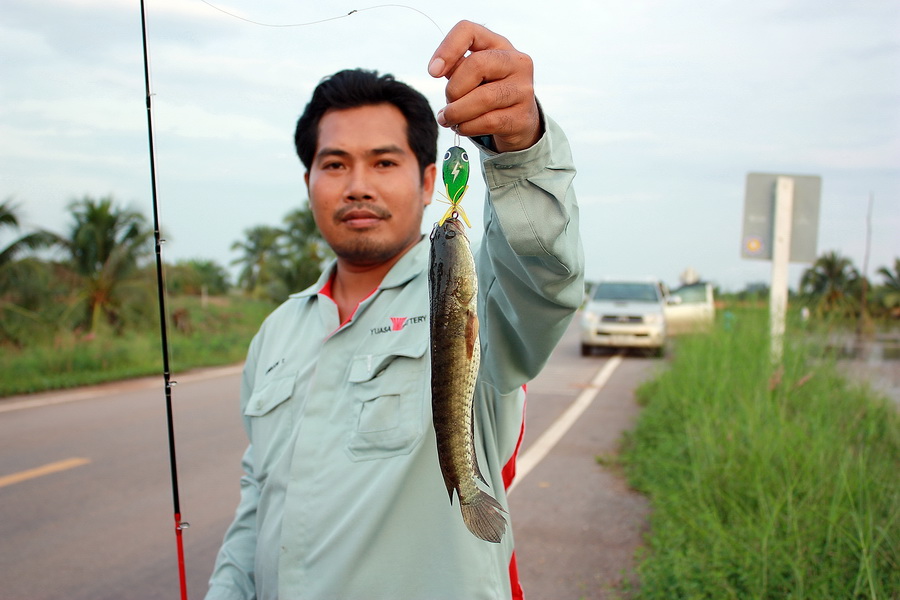  [b]ตัวนี้ตัวแรก ปลาน้ำท่วมตัวแค่นี้เอง[/b] :laughing: :laughing: :laughing: