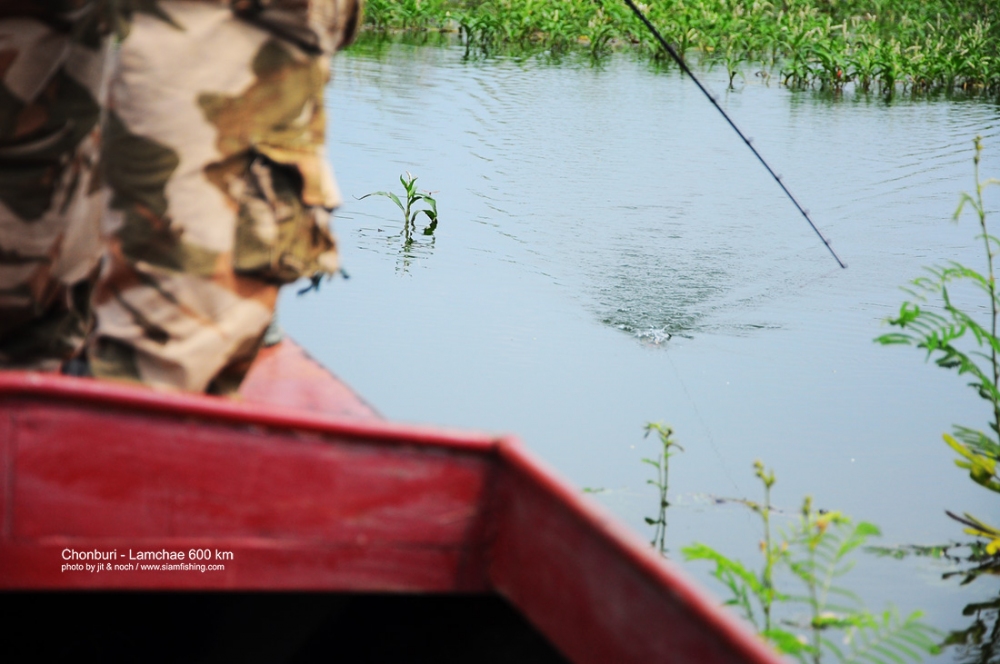 เดี่ยวพรุ่งนี้มาต่อนะครับ ย่อเพิ่มก่อน  :smile: :sleeping: :sleeping: