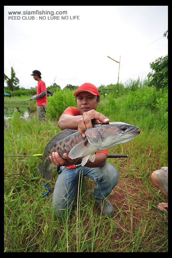 ใครว่าผิวน้ำไม่เอา......

ดูนี่ซะก่อน   

 :cheer: :cheer: :cheer: