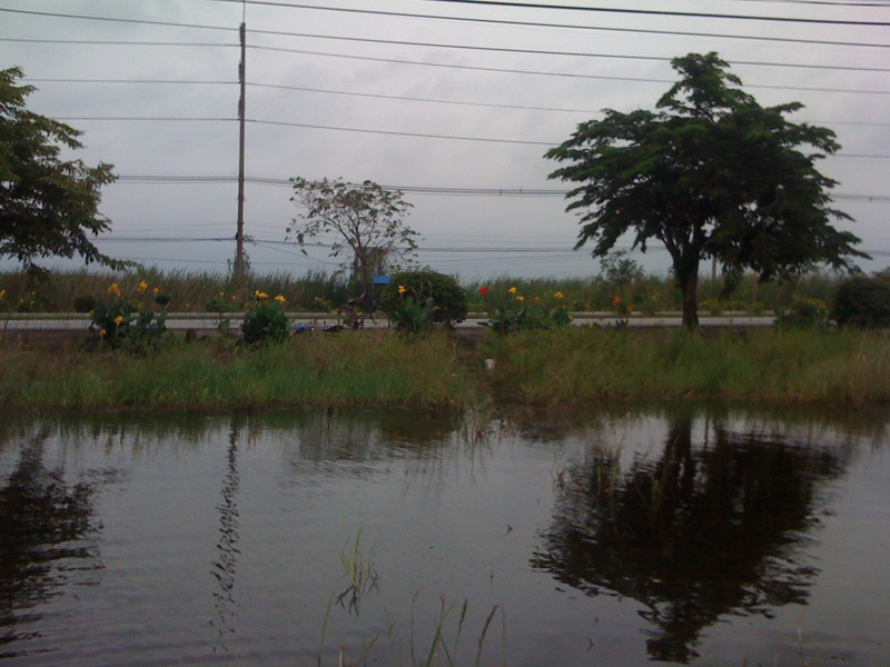 ละก็เดินขึ้นมา ฝนตกนิดหน่อยด้วยครับ