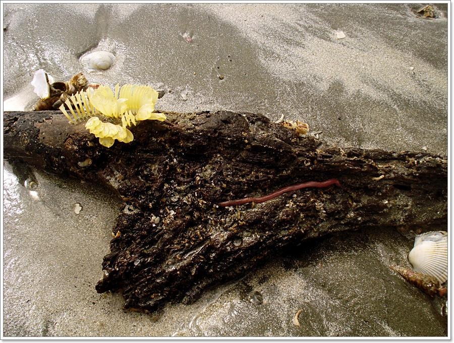  [b]"ดอกไม้บน...ความน่าชั่ง"

นี้คือ "มุมกลับ..ในความสวยงาม"[/b] :rose: :rose: