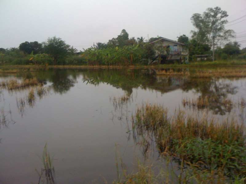 อีกมุมคร้าบบบ   :love: :love: