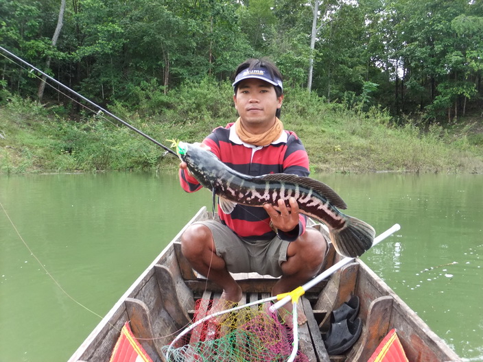 วันสุดท้ายของทริบนี้คับ