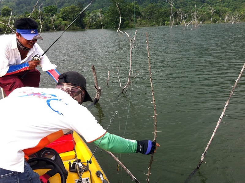 "อุ้ย! ว้าย ซวยแล้ว" เสียงน้าโม่งอุทาน "รีบหลุดเร็วๆ หลุดซิ หลุดซิ เดี๋ยวป้าหนิงเห็น" 

หืม...