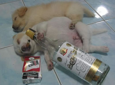 รูปขำขำ     อย่าคดมาก    :laughing: :laughing: :laughing: :laughing: :laughing: :laughing: