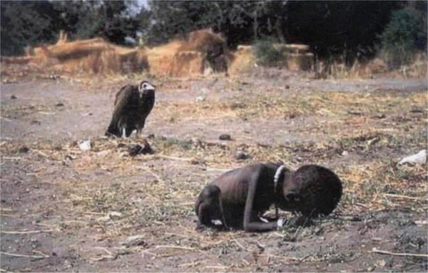 ภาพที่ 12
Kevin Carter  Vulture Stalking a Child
เควิน คาร์เตอร์ นกแร้งกำลังใกล้เข้ามา

 ภาพที่ด