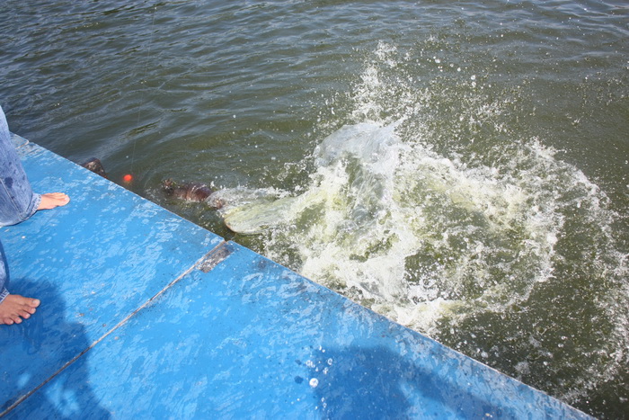 [q][i]อ้างถึง: นะปลายาง posted: 30-09-2554, 22:39:00[/i]

[q][i]อ้างถึง: Mong_Actionlure posted: 3