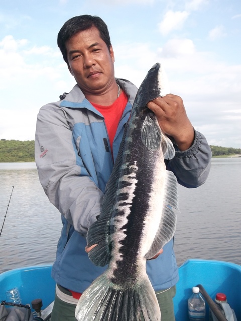 +++++++ท่านี้สวย+++++ :love: :love: :love: :love: :love: :love: