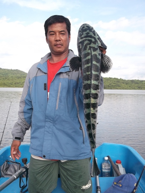 +++++ :cheer: :cheer: :cheer: :cheer: :cheer: :cheer: :cheer: :cheer: :cheer:+++++