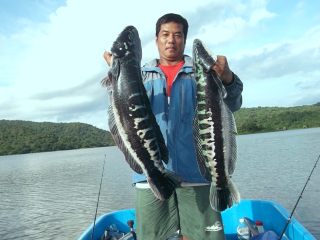 ++++++มาแบบคู่ก๊มีหรอครับพี่+++++ :laughing: :laughing: :laughing: :laughing: :laughing: