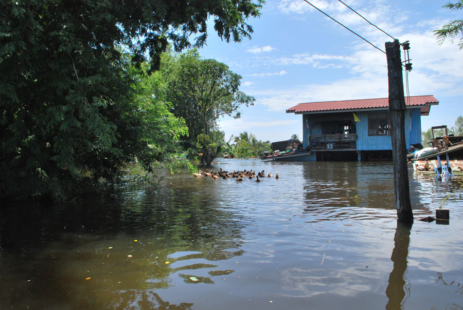 

ภายในหมู่บ้าน หนองหลวง อ.ท่าวุ้ง ครับ


มีประมาณเกือบร้อยหลังคาเรือน...จมทุกหลัง