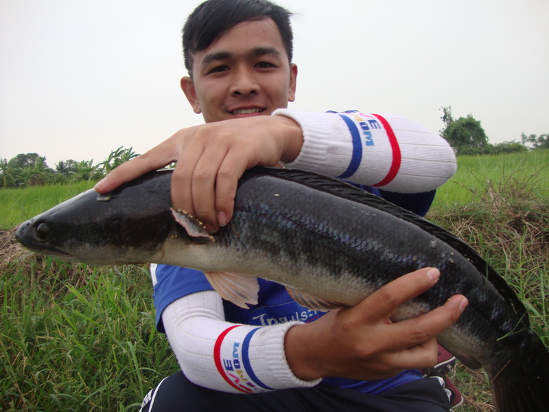 บ่อแถวอ.ไทร้อยครับ... :grin: :grin: :grin: :grin: :grin: