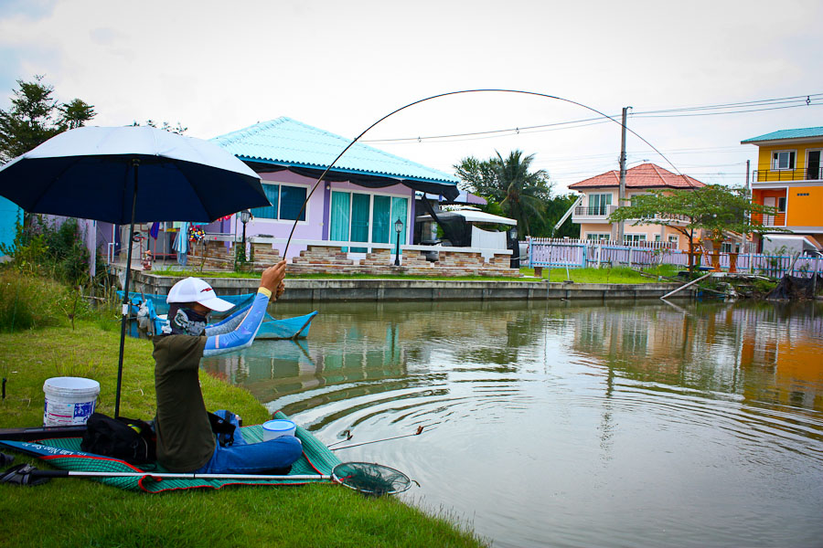 กว่าจะได้ตัวนึง...ผม
ช่วงนี้น้าช้างถ่ายภาพให้    ขอบคุณครับ :grin: