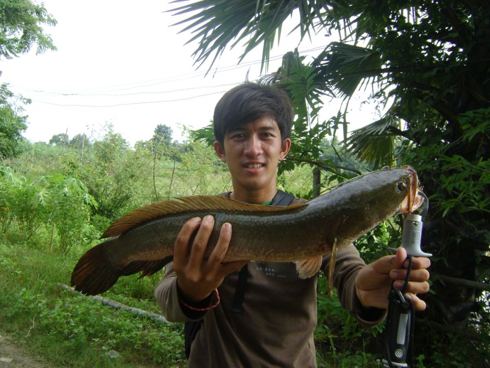 ยิ้มหน่อย อิอิอิอิ :smile: :smile: :smile: :smile: :smile: :smile: :smile: