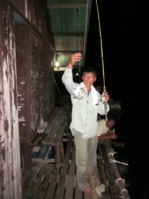 
ประมาณ ตี 2 กว่า ๆ โกโบ้ก็ดึงเจ้าใบปอมา 1 ตัว....................ส่วนของเรายังเงียบ......... :grin