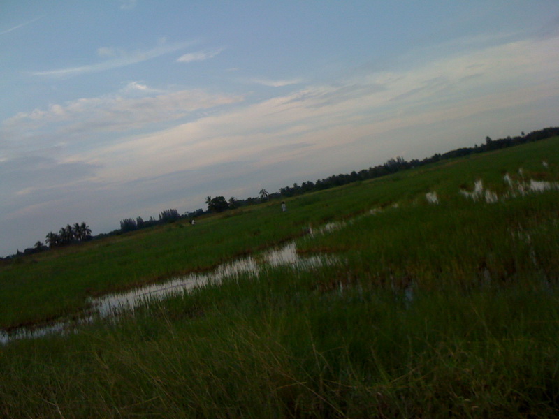 โห ๆ มันไปไกล ตามไม่ทันละๆ  :mad: