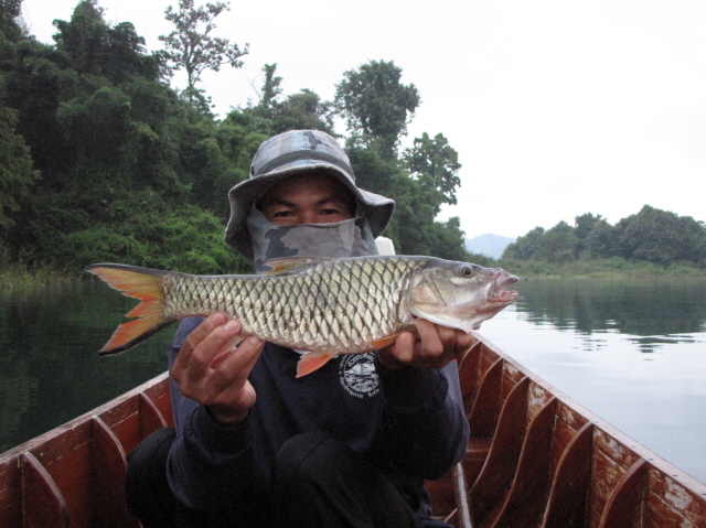 กระสูบมาต้อนรับก่อนเลยคับ  ตัวแรกไซร้ไม่น่เกลียดคับ
 :grin: :grin: :grin: :grin: