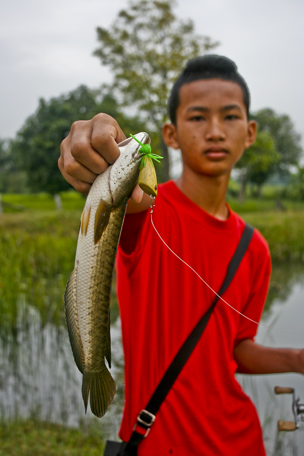 เหมือนอย่างที่พูดเอาไว้ว่าน้ำท่วมหญ้าแบบนี้นะมันแจ่มขนาดไหน
เพียงไม้ที่สองสำหรับการเทส กบส่ายหน้า