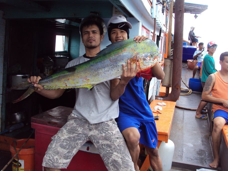 ...โต้มอญ...
...ตัวใหญ่...ตามตัวเล็กที่กินเบ็ดมา...
...เด็กเรือ(จุ่มโพ่อ๋อง)จัดการ...
...ใช้..ตะข