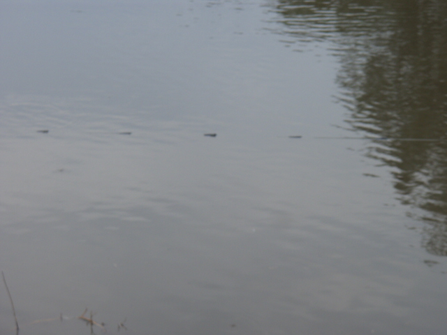 ชัดๆเลยคับ เป็นอันว่า ภารกิจ วันนี้ เจออุปสรรคซะแล้ว :sad: :sad: :sad: :sad:...เอาไงดีลูกๆ